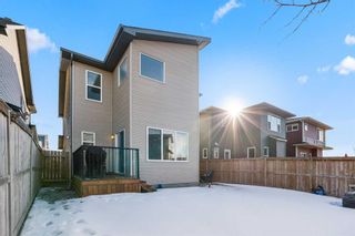 Photo 36: 14 Walden Grove SE in Calgary: Walden Detached for sale : MLS®# A2124458