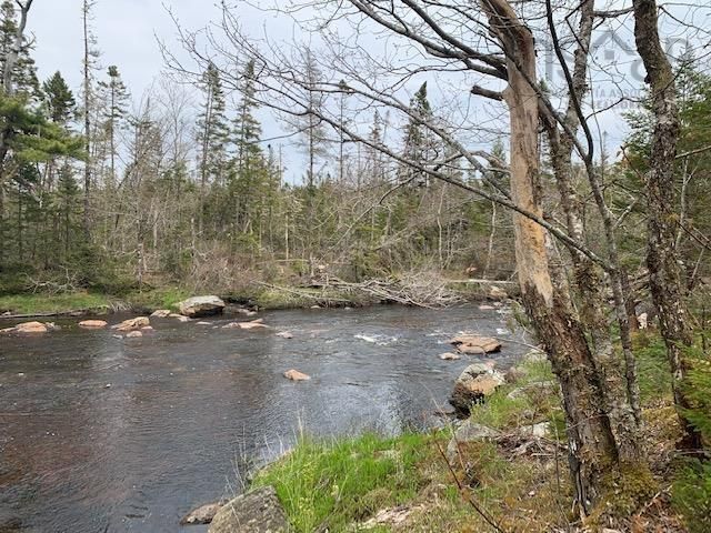 Main Photo: Lot WA - 2 Moser River North Road in Moser River: 35-Halifax County East Vacant Land for sale (Halifax-Dartmouth)  : MLS®# 202309842