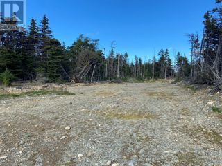 Photo 2: 15 Philip's Place in Flatrock: Vacant Land for sale : MLS®# 1250197