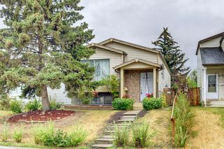 Photo 1: 24 Abingdon Crescent NE in Calgary: Abbeydale Detached for sale : MLS®# A2013505