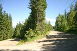 Photo 40: 4827 Goodwin Road in Eagle Bay: Vacant Land for sale : MLS®# 10116745