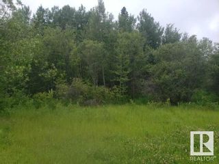 Photo 2: Hwy 43 Rge Rd 52: Rural Lac Ste. Anne County Rural Land/Vacant Lot for sale : MLS®# E4294722