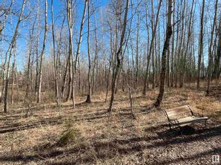 Photo 7: 54 274022 TWP RD 480: Rural Wetaskiwin County Vacant Lot/Land for sale : MLS®# E4385776