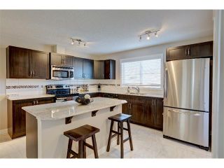 Photo 9: 22 SKYVIEW POINT Link NE in Calgary: Skyview Ranch House for sale : MLS®# C4019553
