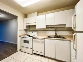 Photo 7: 1302 5899 WILSON Avenue in Burnaby: Central Park BS Condo for sale in "Paramount II" (Burnaby South)  : MLS®# R2739736