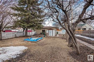 Photo 47: 10893 75 Street in Edmonton: Zone 09 House for sale : MLS®# E4300347