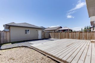 Photo 49: 175 Baywater Rise SW: Airdrie Detached for sale : MLS®# A1216308