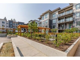 Photo 28: 117 20356 72B Avenue in Langley: Willoughby Heights Condo for sale : MLS®# R2722456