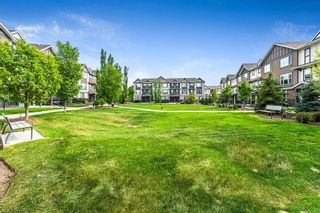 Photo 24: 105 6603 New Brighton Avenue SE in Calgary: New Brighton Apartment for sale : MLS®# A2053628