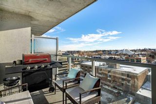 Photo 30: 1006 188 15 Avenue SW in Calgary: Beltline Apartment for sale : MLS®# A2102986