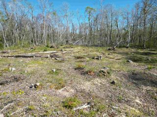 Photo 9: Lot 22-5 Logan Road in Frasers Mountain: 108-Rural Pictou County Vacant Land for sale (Northern Region)  : MLS®# 202403712