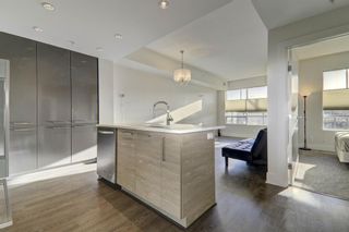 Photo 9: 204 38 9 Street NE in Calgary: Bridgeland/Riverside Apartment for sale : MLS®# A2013828