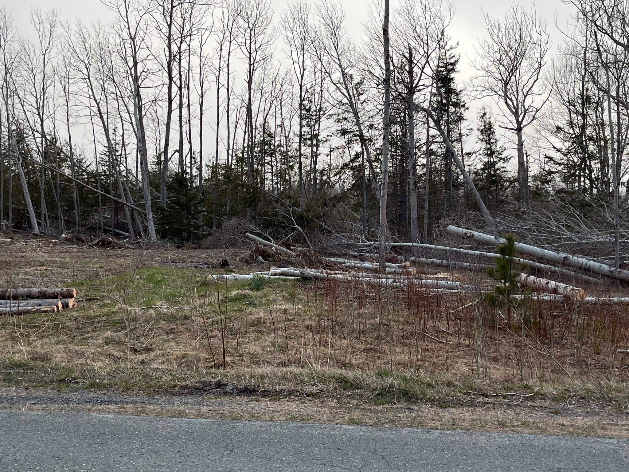 Main Photo: Lot 12-1 Shore Road in Lower Barneys River: 108-Rural Pictou County Vacant Land for sale (Northern Region)  : MLS®# 202306950