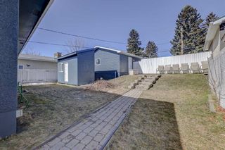 Photo 30: 4603 Namaka Crescent NW in Calgary: North Haven Detached for sale : MLS®# A2120610