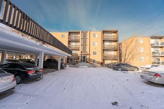 Photo 15: 202 507 57 Avenue SW in Calgary: Windsor Park Apartment for sale : MLS®# A2100515