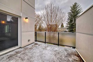 Photo 9: 114 6919 Elbow Drive SW in Calgary: Kelvin Grove Apartment for sale : MLS®# A2129812
