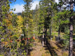 Photo 5: 404 Mountain Tranquility Place: Canmore Residential Land for sale : MLS®# A2084859