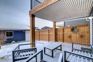 Photo 39: 22 Evanscrest Heights NW in Calgary: Evanston Detached for sale : MLS®# A1178299