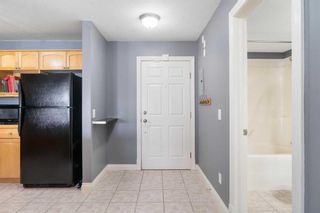 Photo 33: 201 1631 28 Avenue SW in Calgary: South Calgary Apartment for sale : MLS®# A2141626