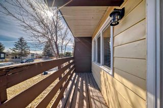 Photo 26: 1709 50 Street SE in Calgary: Forest Lawn Semi Detached (Half Duplex) for sale : MLS®# A2115014