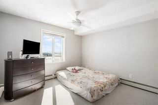 Photo 19: 3314 1620 70 Street SE in Calgary: Applewood Park Apartment for sale : MLS®# A2118344