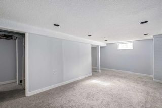 Photo 19: 8016 33 Avenue NW in Calgary: Bowness Detached for sale : MLS®# A2117412