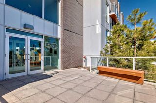 Photo 5: 209 3125 39 Street NW in Calgary: University District Apartment for sale : MLS®# A2122859