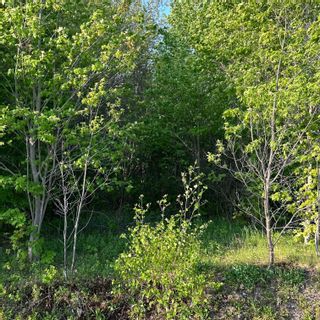 Photo 12: 15 Conquerall Road in Hebbs Cross: 405-Lunenburg County Vacant Land for sale (South Shore)  : MLS®# 202310770
