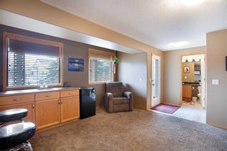 Photo 31: 217 Citadel Crest Green NW in Calgary: Citadel Detached for sale : MLS®# A2127757