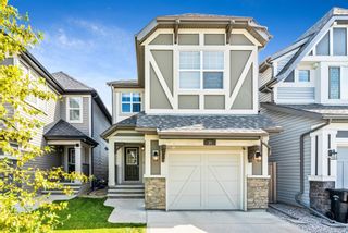 Main Photo: 31 Chaparral Valley Common SE in Calgary: Chaparral Detached for sale : MLS®# A1244320