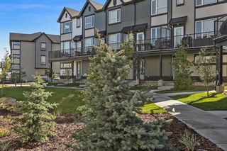 Photo 3: 110 16 Evancrest Park in Calgary: Evanston Row/Townhouse for sale : MLS®# A1259188