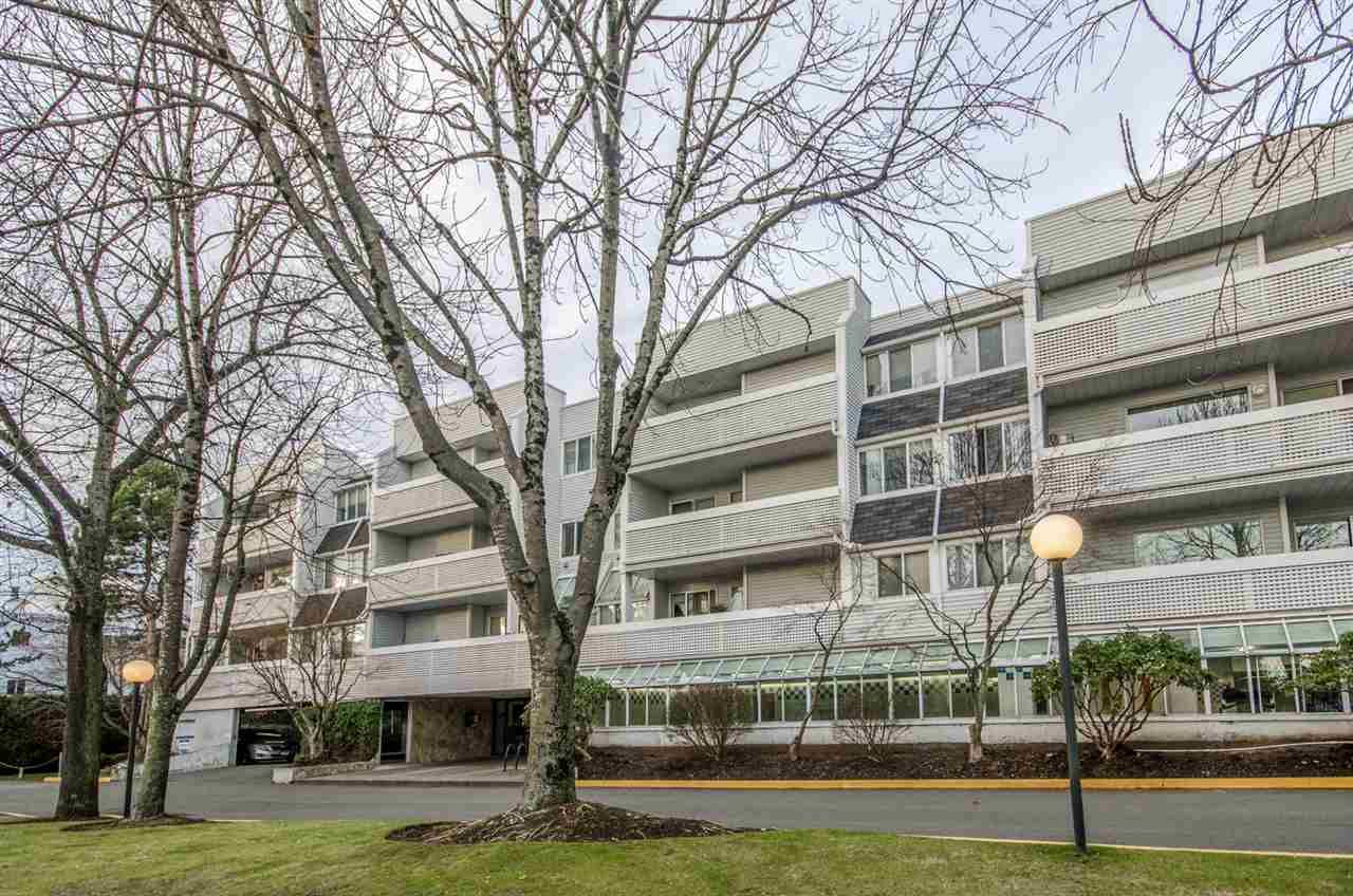 Main Photo: 107 7431 BLUNDELL Road in Richmond: Brighouse South Condo for sale in "CANTERBURY COURT" : MLS®# R2331808
