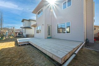 Photo 28: 70 Schooner Close NW in Calgary: Scenic Acres Detached for sale : MLS®# A1212300