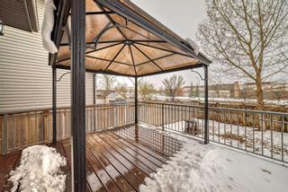Photo 16: 100 Cranberry Circle SE in Calgary: Cranston Detached for sale : MLS®# A2123439