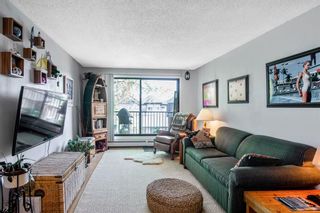 Photo 9: 305 2734 17 Avenue SW in Calgary: Shaganappi Apartment for sale : MLS®# A2054151
