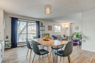 Photo 11: 201 2611 1 Avenue NW in Calgary: West Hillhurst Apartment for sale : MLS®# A2012110