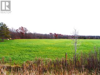 Photo 4: 00 COUNTY ROAD 46 ROAD in Tincap: Vacant Land for sale : MLS®# 1368607