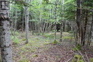 Photo 44: Lot 1 Blue Rocks Road in Garden Lots: Vacant Land for sale : MLS®# 202313149