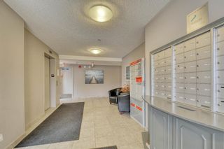 Photo 3: 306 380 Marina Drive: Chestermere Apartment for sale : MLS®# A1049814