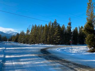 Photo 8: LOT 1 SAWYER Road in Valemount: Valemount - Town Land for sale (Robson Valley)  : MLS®# R2859529