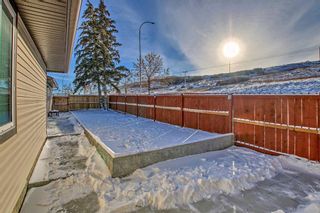 Photo 39: 79 Beaconsfield Way NW in Calgary: Beddington Heights Detached for sale : MLS®# A2102647