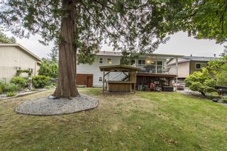 Photo 25: 21107 117th Ave in Maple Ridge: House for sale : MLS®# R2209270