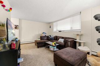 Photo 3: 101 635 56 Avenue SW in Calgary: Windsor Park Apartment for sale : MLS®# A2125893
