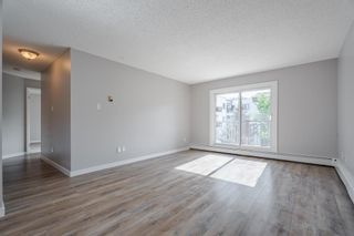 Photo 14: 317 723 57 Avenue SW in Calgary: Windsor Park Apartment for sale : MLS®# A2051821