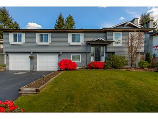 Photo 1: 11730 193B ST in Pitt Meadows: South Meadows House for sale : MLS®# V1119022