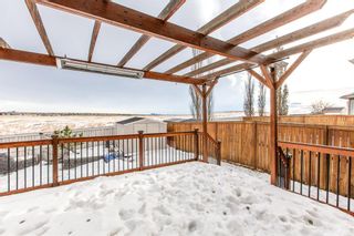 Photo 5: 54 Royal Birch Rise NW in Calgary: Royal Oak Detached for sale : MLS®# A2013238