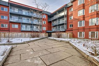 Main Photo: 223 333 Garry Crescent NE in Calgary: Greenview Apartment for sale : MLS®# A2108763