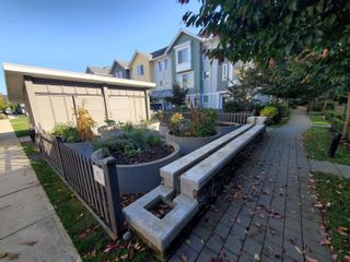 Photo 27: 58 5550 ADMIRAL WAY in Delta: Neilsen Grove Townhouse for sale (Ladner)  : MLS®# R2824713