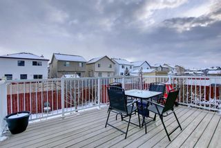 Photo 12: 810 Martindale Boulevard NE in Calgary: Martindale Detached for sale : MLS®# A1190438