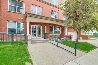 Photo 30: 409 495 78 Avenue SW in Calgary: Kingsland Apartment for sale : MLS®# A2043939